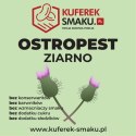 OSTROPEST PLAMISTY POLSKI ZIARNO ŚWIEŻY - KUFEREK SMAKU
